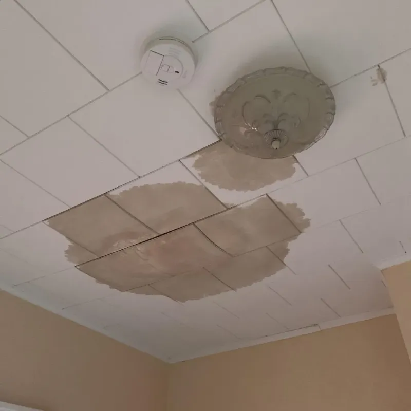 Ceiling Water Damage Repair in Milton, NY